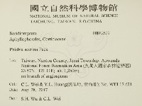 登錄號:F0032629藏品圖，第2張