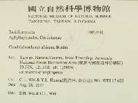 登錄號:F0032630藏品圖，第2張
