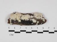 登錄號:F0032632藏品圖，第1張