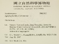 登錄號:F0032633藏品圖，第2張