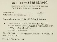 登錄號:F0032635藏品圖，第2張