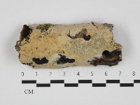 登錄號:F0032635藏品圖，第1張