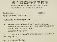 登錄號:F0032636藏品圖，第2張