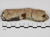 登錄號:F0032636藏品圖，第1張