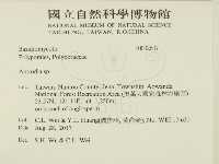 薄孔菌屬藏品圖，第2張
