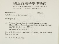 粗糙孢菌屬藏品圖，第2張