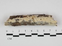 登錄號:F0032642藏品圖，第1張