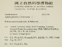 登錄號:F0032644藏品圖，第2張