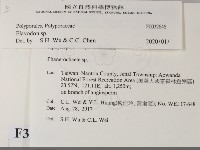 登錄號:F0032646藏品圖，第2張