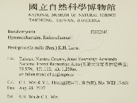 登錄號:F0032648藏品圖，第2張