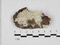 登錄號:F0032648藏品圖，第1張