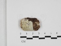 登錄號:F0032649藏品圖，第1張
