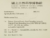 登錄號:F0032653藏品圖，第2張