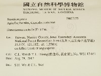 登錄號:F0032655藏品圖，第2張