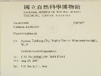 登錄號:F0032657藏品圖，第2張