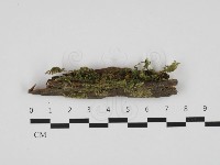 登錄號:F0032657藏品圖，第1張