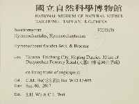 登錄號:F0032659藏品圖，第2張