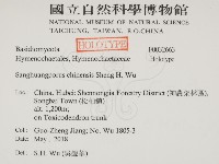 漆屬桑黃藏品圖，第2張