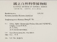 漆屬桑黃藏品圖，第2張