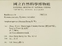 漆屬桑黃藏品圖，第2張