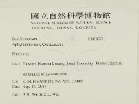射脈菌屬藏品圖，第2張