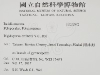 登錄號:F0032672藏品圖，第2張