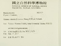 登錄號:F0032674藏品圖，第2張