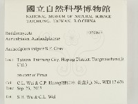 登錄號:F0032677藏品圖，第2張