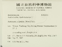 毛木耳藏品圖，第2張