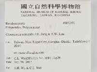 登錄號:F0032680藏品圖，第2張