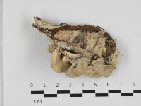 登錄號:F0032680藏品圖，第3張