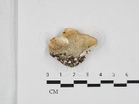 登錄號:F0032681藏品圖，第1張