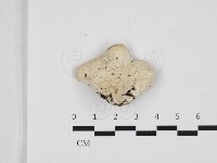 登錄號:F0032681藏品圖，第3張