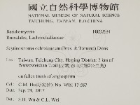 登錄號:F0032684藏品圖，第2張