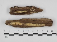 登錄號:F0032684藏品圖，第1張