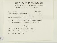 登錄號:F0032688藏品圖，第2張