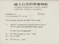 登錄號:F0032690藏品圖，第2張