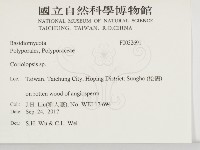 登錄號:F0032691藏品圖，第2張