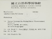 登錄號:F0032698藏品圖，第2張