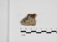登錄號:F0032698藏品圖，第1張