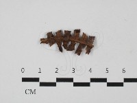 登錄號:F0032702藏品圖，第1張