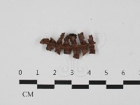 登錄號:F0032702藏品圖，第3張