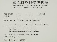 登錄號:F0032703藏品圖，第2張