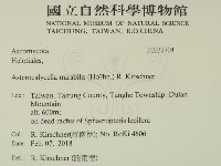 登錄號:F0032704藏品圖，第2張