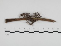 登錄號:F0032704藏品圖，第1張