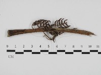 登錄號:F0032704藏品圖，第3張