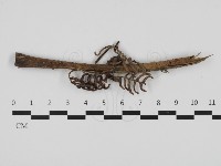 登錄號:F0032704藏品圖，第4張