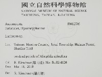 登錄號:F0032705藏品圖，第2張