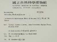 登錄號:F0032706藏品圖，第2張
