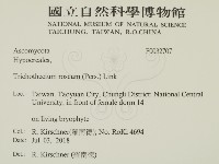 登錄號:F0032707藏品圖，第2張